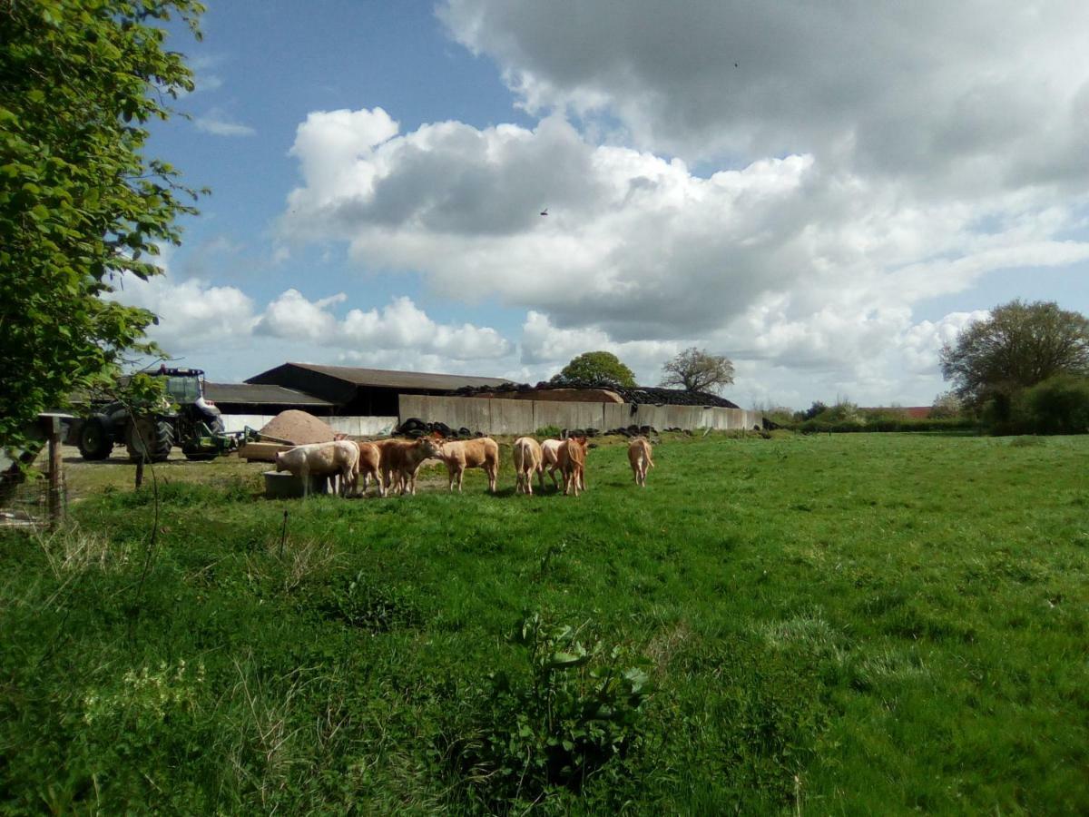 La ferme de la Baconnerie Villa Sainte-Marguerite-d'Elle Exterior foto